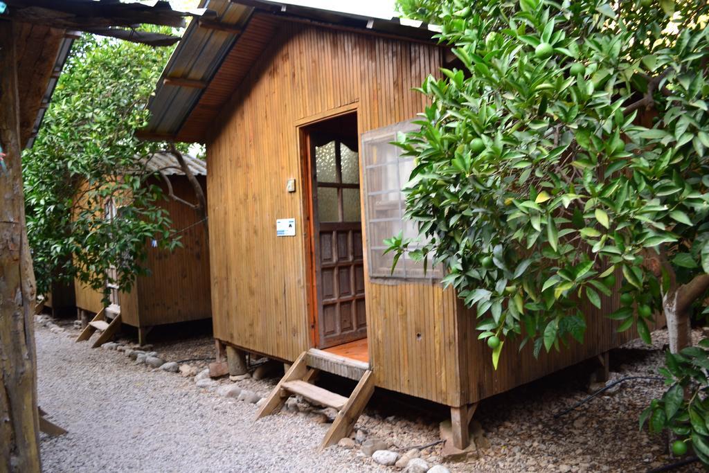 Olympos Yakamoz Pansiyon Rum bild