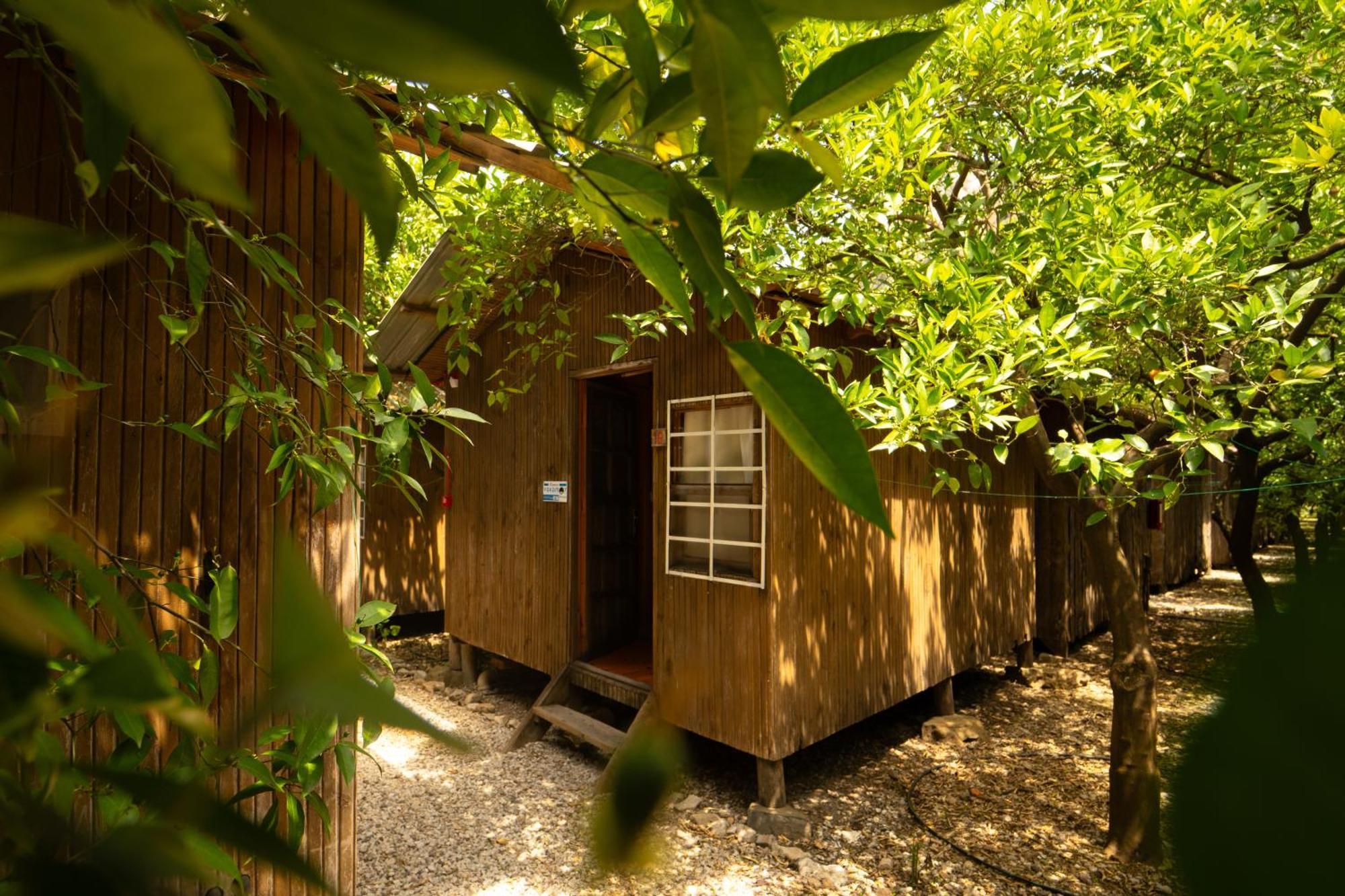 Olympos Yakamoz Pansiyon Exteriör bild