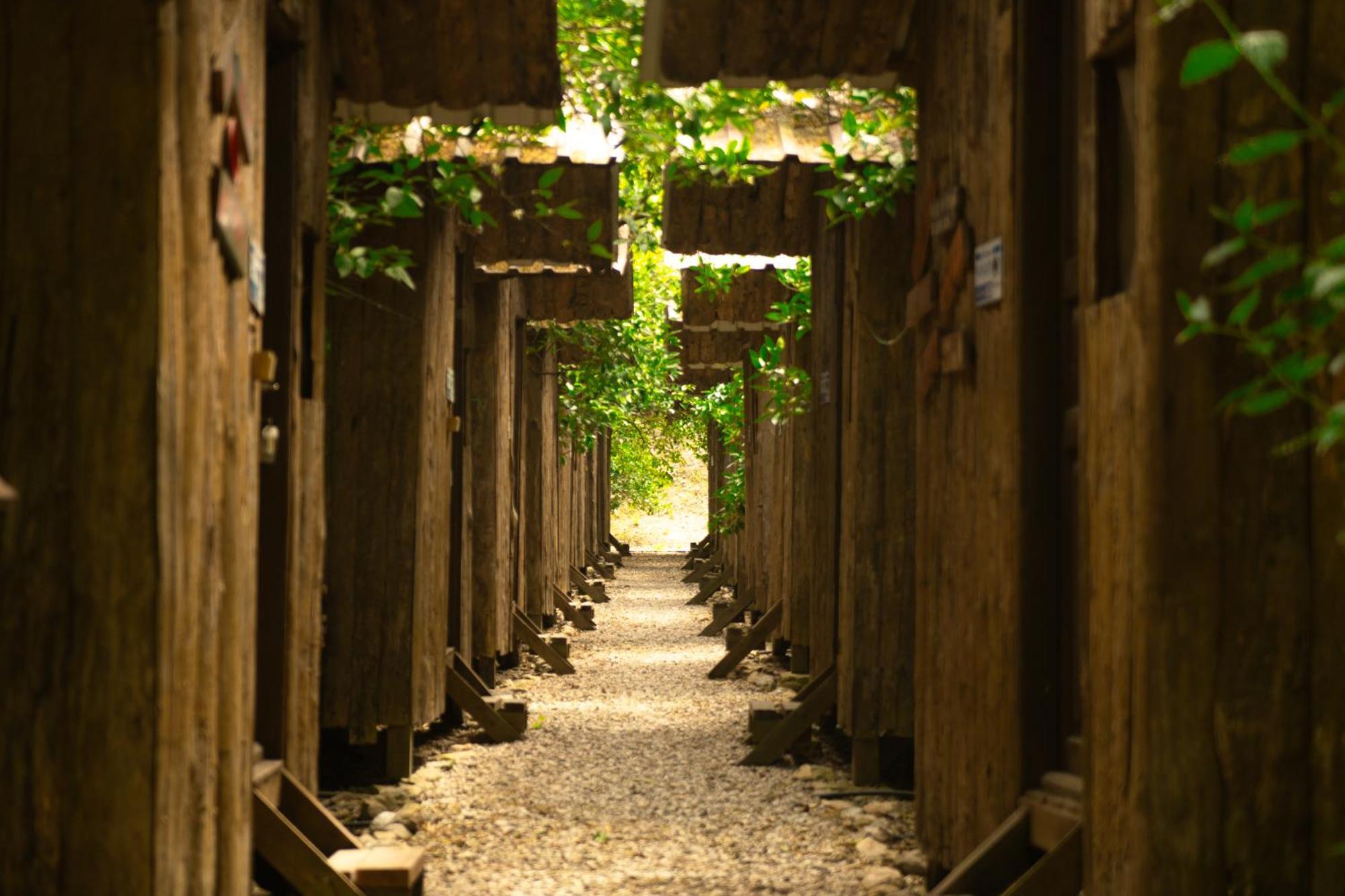 Olympos Yakamoz Pansiyon Exteriör bild