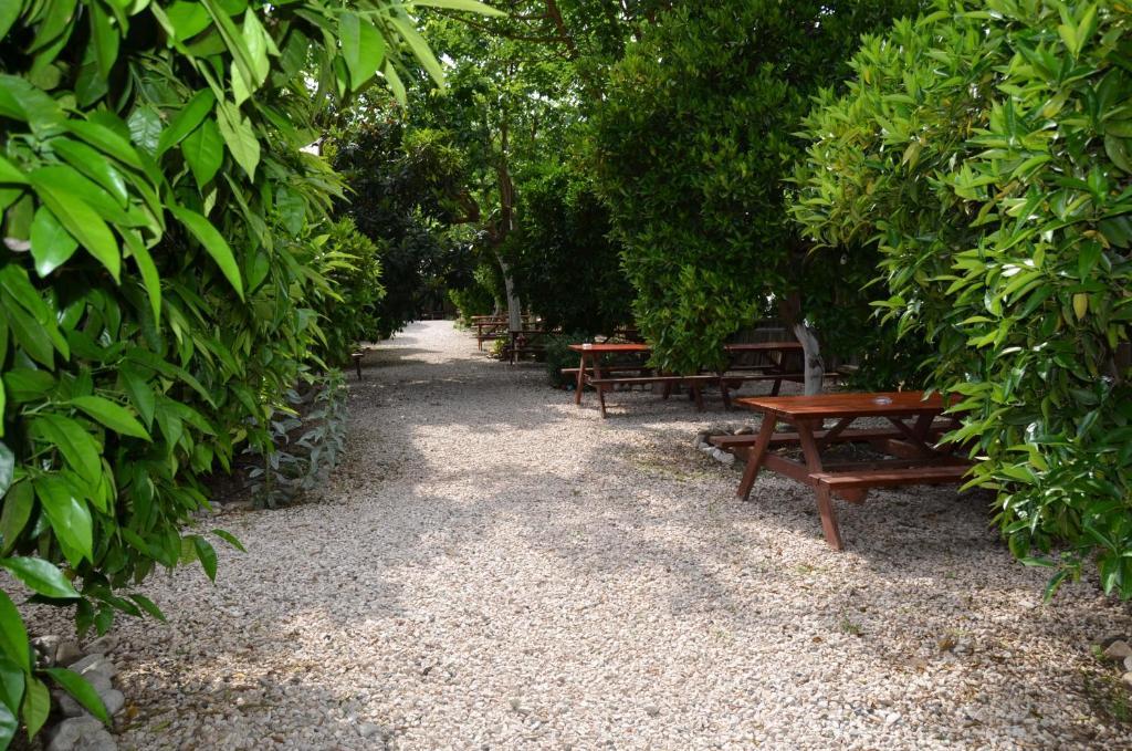 Olympos Yakamoz Pansiyon Exteriör bild