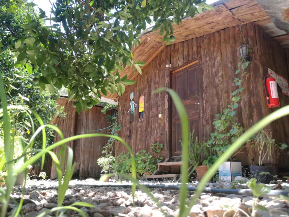 Olympos Yakamoz Pansiyon Exteriör bild