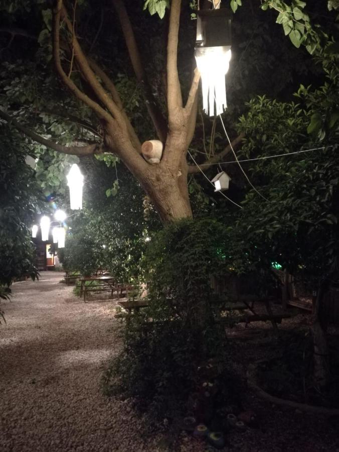 Olympos Yakamoz Pansiyon Exteriör bild