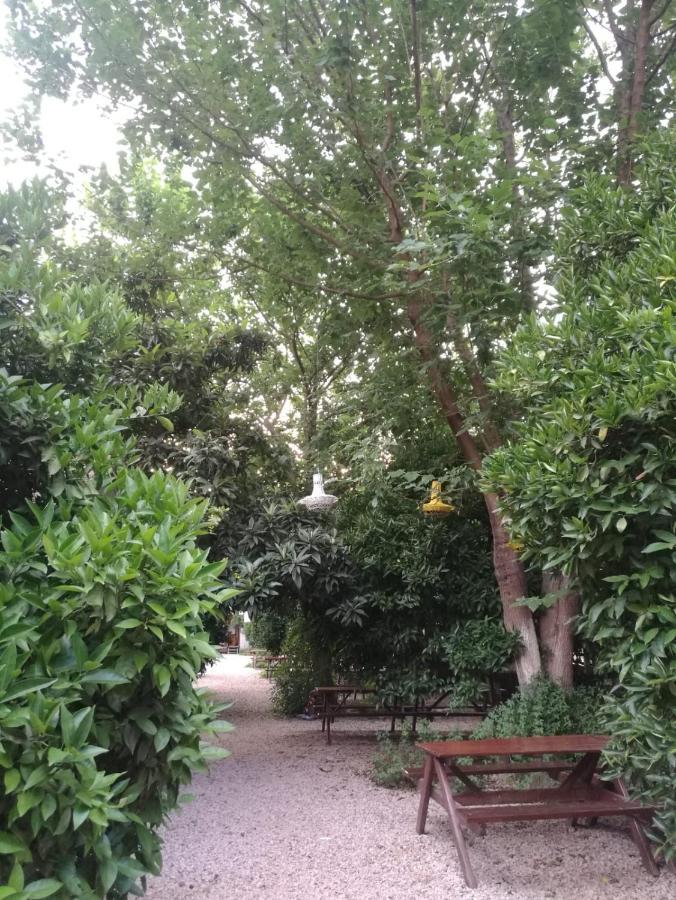 Olympos Yakamoz Pansiyon Exteriör bild