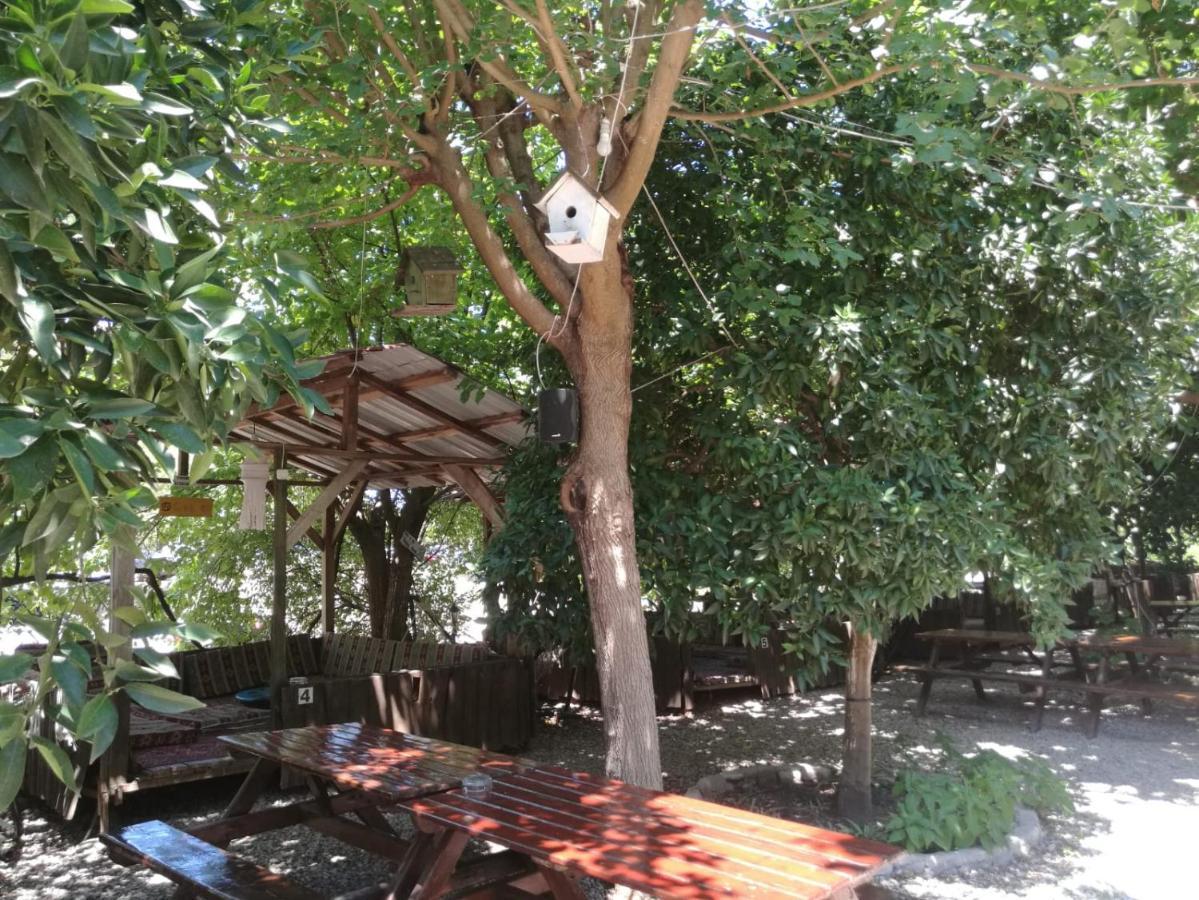 Olympos Yakamoz Pansiyon Exteriör bild
