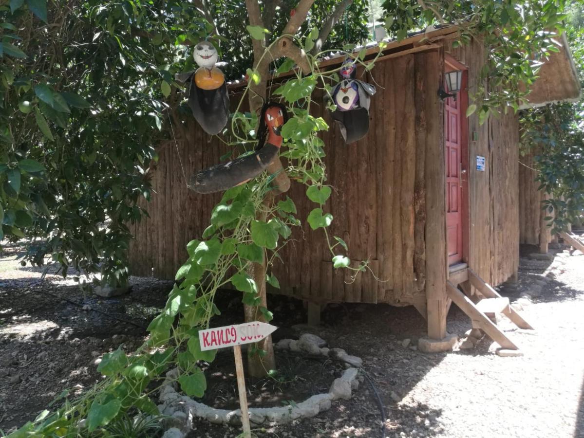 Olympos Yakamoz Pansiyon Exteriör bild