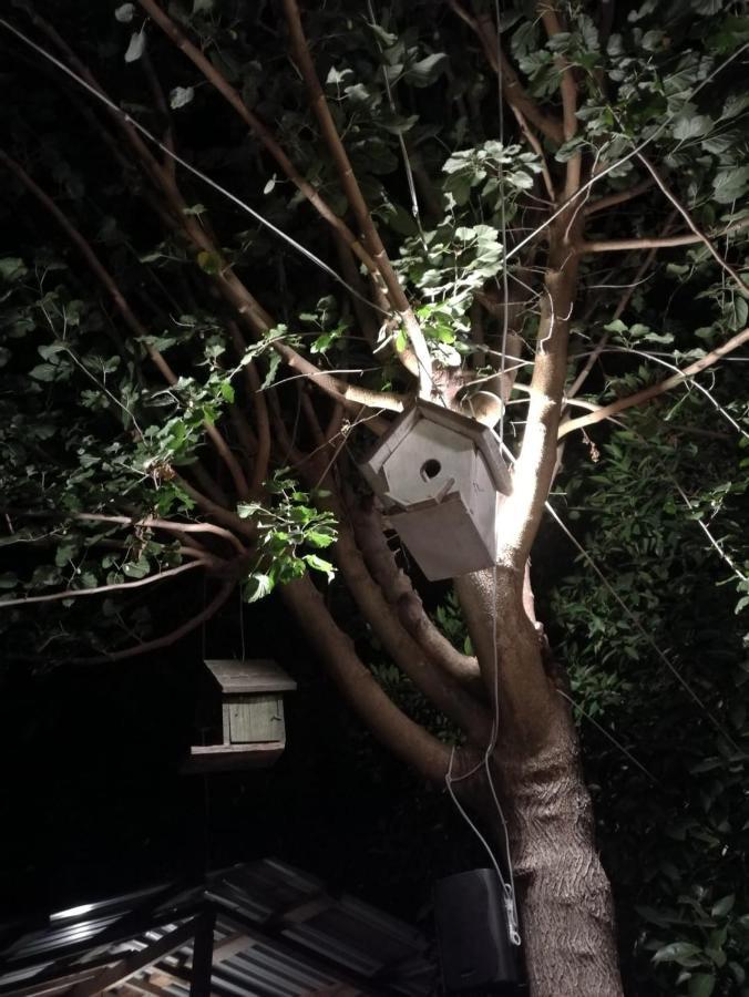 Olympos Yakamoz Pansiyon Exteriör bild