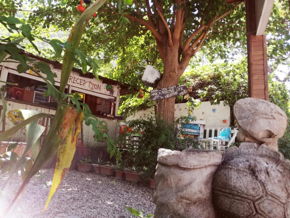 Olympos Yakamoz Pansiyon Exteriör bild