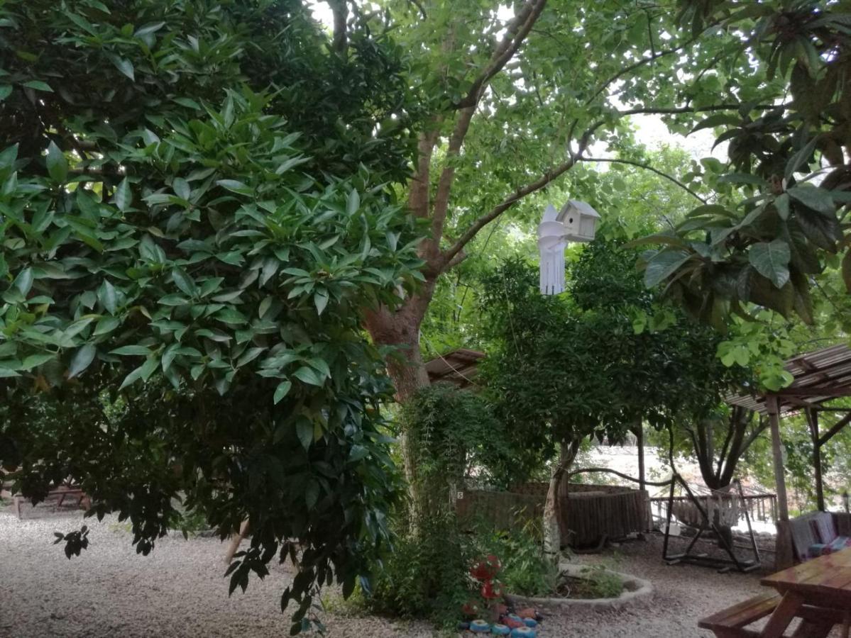 Olympos Yakamoz Pansiyon Exteriör bild