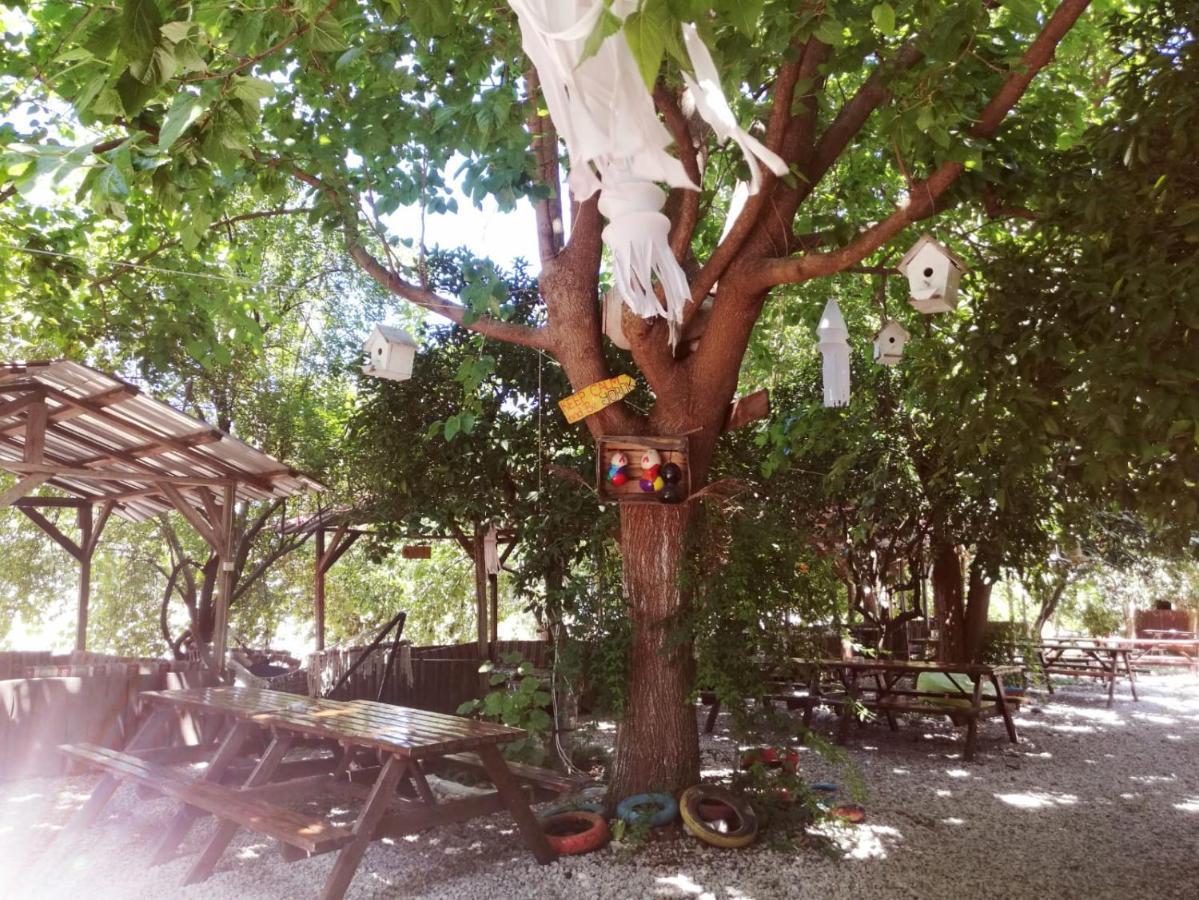 Olympos Yakamoz Pansiyon Exteriör bild