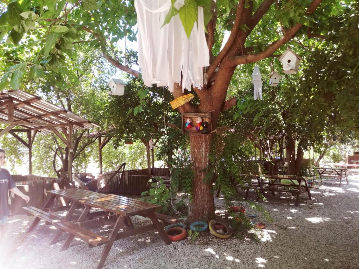 Olympos Yakamoz Pansiyon Exteriör bild